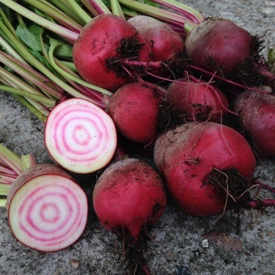 LYRS Beetroot Seed(200 per packet)