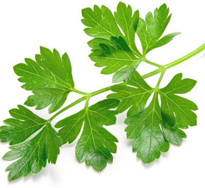 V Seed Parsley Seed(20 per packet)