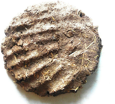 Corofitam Normal Gir cow Dung Cake pack of 01