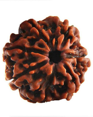 ng gems Natural Lakshmi Mala 7 Mukhi Rudraksha Mala for Astrology along with 5 Mukhi 8 mm 108+1 Beads-15 Wood Pendant