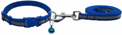 W9 Nylon Leash With Collar Set For Puppy -1.5 CM-X-Small Dog Collar & Leash(Extra Small, Blue)