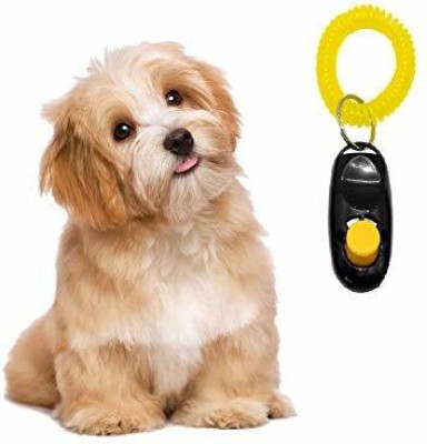 Woofy Pet Training Clicker with Wrist Bands Strap Plastic Training Aid For Dog