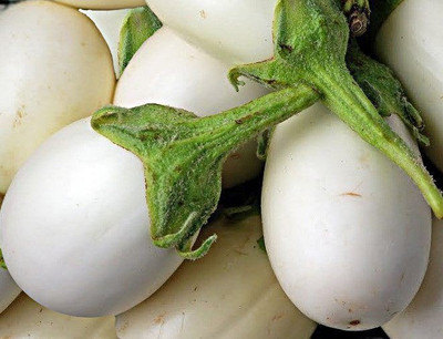Mozette Hybrid White Brinjal Seed(65 per packet)