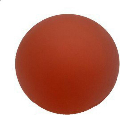 ACCO Gel Hand Exercise Balls( Soft) Foam Ball(Standard, Pack of 1, Red)