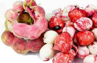 Sjeme Jungle Jalebi Seed(500 per packet)