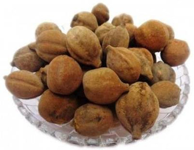 NaturePlanet BAHEDA Seed(100 per packet)
