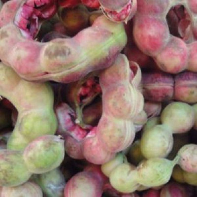 Sjeme Jungle Jalebi Seed(15 per packet)