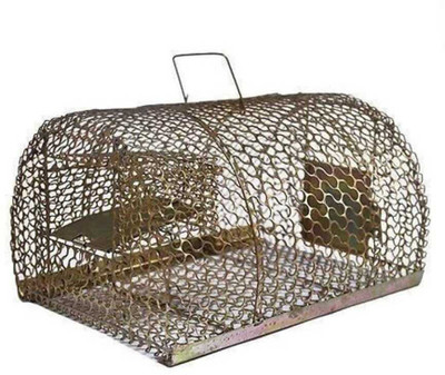Goods collection Iron Trap/Cage for Catching Rat/Mouse/Rodent/Chipmunk/Squirrels, Humane(No Kill), Big Size & Durable Live Trap Live Trap