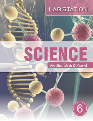 Lab Station Science Practical Book & Record for Class 6 ((Paperback, A.Gupta)