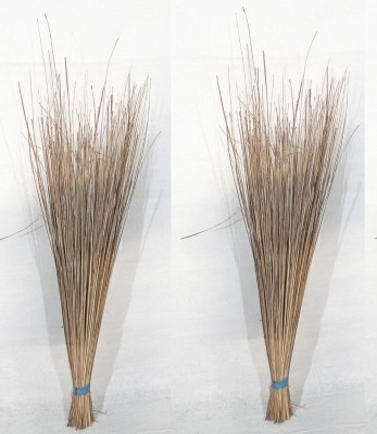 Creazione Production Coconut Fiber Wet and Dry Broom(Brown, 2 Units)