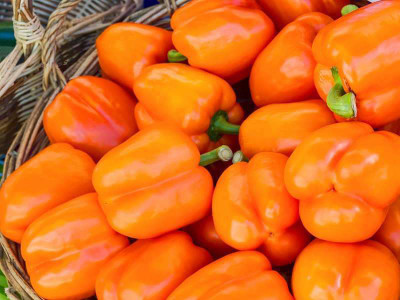 FERNSFLY Capsicum Seed(40 per packet)