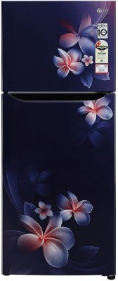 LG 260 L Frost Free Double Door 3 Star Refrigerator(Blue Plumeria, GL-N292DBPY)