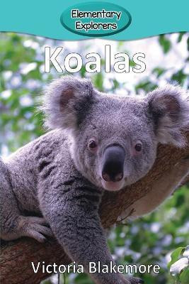 Koalas(English, Paperback, Blakemore Victoria)
