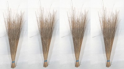 Creazione Production Coconut Fiber Wet and Dry Broom(Brown, 4 Units)