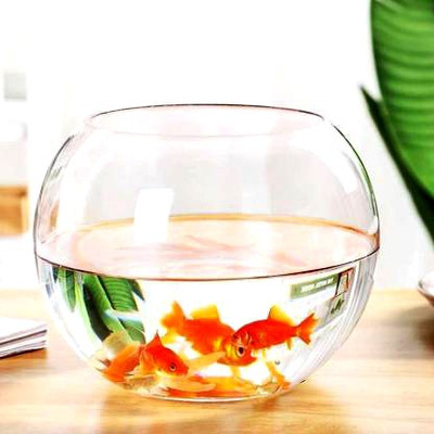 BILAL ANSARI 10 Inch w.n. 4L w.c. Round Ends Aquarium Tank(4 L)