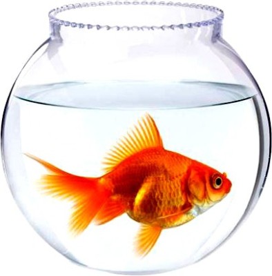 BILAL ANSARI beautiful looking shiny clear crystal glass for use to store fish round Glass Pet Bowl(4 L Clear)