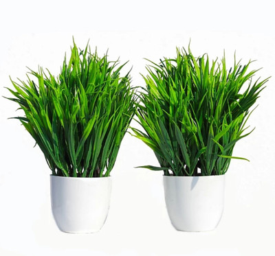 zonezer Artificial plant for home decoration pair set of 1 small table plant Bonsai Artificial Plant  with Pot(15 cm, Green, White)