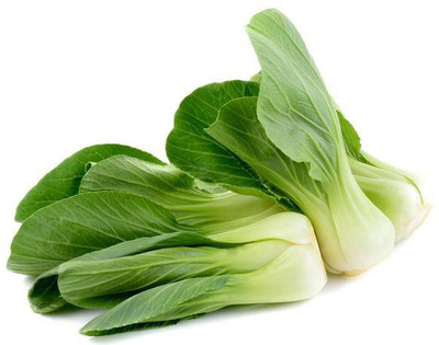 CYBEXIS Bok Choy-100 Seeds Seed(100 per packet)
