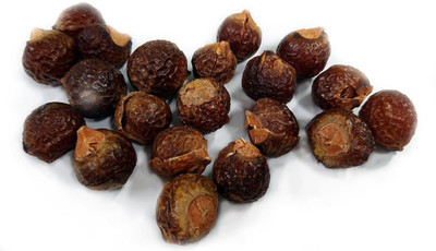 LYRS Washnut Soap Berry Seed Seed(85 per packet)