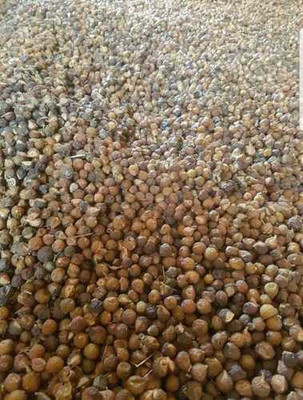 LYRS Western Soapberry Reetha Seed Seed(55 per packet)