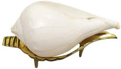 Utkarsh Natural Jal/agra Decorative (7.5 Cm Conch ) White Shankh With Brass Stand for Pooja & Vamavarti Brings Prosperity, Happiness, Good Health & Wealth Decorative Shankh Blowing Shankh(White) Utkarsh Natural Jal/agra Decorative (7.5 Cm Conch ) White Shankh With Brass Stand for Pooja & Vamavarti Brings Prosperity, Happiness, Good Health & Wealth Decorative Shankh Blowing Shankh(White)