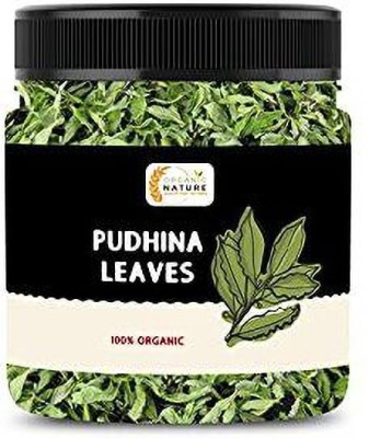 ORGANIC NATURE Dry Mint Leaves Sukha Pudina Patti pudhina Leaves 50 Gram (Jar Pack)(50 g)