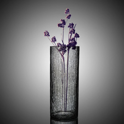 Decent Glass Glass Vase(10 inch, Clear)