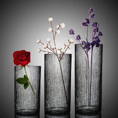 Decent Glass Glass Vase(10 inch, Clear)