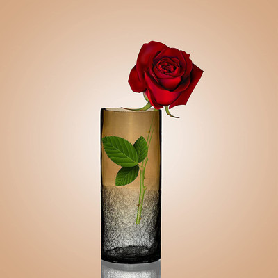Decent Glass Glass Vase(8 inch, Orange)