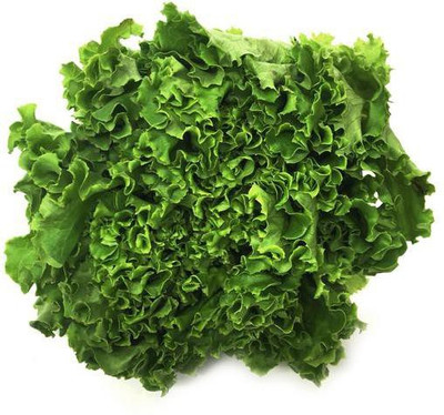 Paudha Lettuce Hybrid Seed(10 per packet)