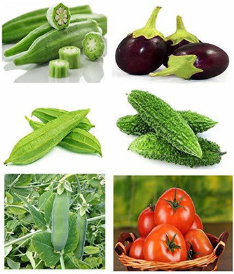 MKR Enterprises Combo Pack Seed(20 per packet)