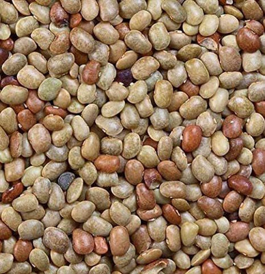 kotaliya kulthi ki dal Seed(500 per packet)