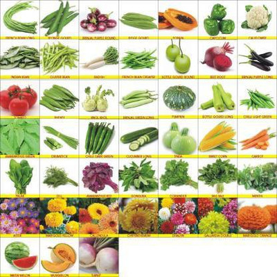 FLARE SEEDS 45 Varieties Vegetable Combo Pack Seed(2000 per packet)
