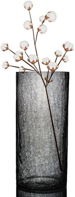 Decent Glass Glass Vase(8 inch, Clear)