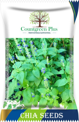 Countgreen Plus Chia Plant Seed(500 per packet)