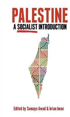 Palestine: A Socialist Introduction(English, Paperback, unknown)
