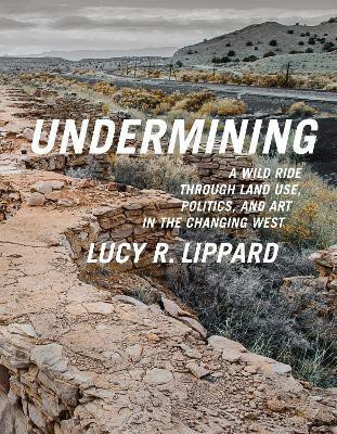 Undermining(English, Paperback, Lippard Lucy)