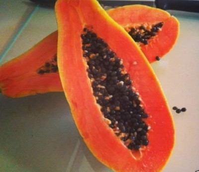 Wellspring PAPAYA (PAPITA) SEED PY1 BEST QUALITY HYBRID FRUIT SEED PRODUCER CHOICE FOR YOUR HOME GARDENING HYBRID F1 SEEDS OF GOOD QUALITY ORGANIC FRUIT SEED PACK OF 2 AND HAVE 150 SEEDS IN EACH PACK Seed(150 per packet)