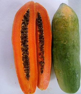 Wellspring Papaya Seed(150 per packet)