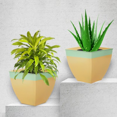 Patio by Bathla MYLA Metal Square Planters / Pots for Garden / Balcony | Medium– Mynt & Tea - Set of 2 Plant Container Set(Pack of 2, Metal)
