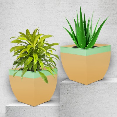 Patio by Bathla MYLA Metal Square Planters / Pots for Garden / Balcony | Large – Mynt & Tea- Set of 2 Plant Container Set(Pack of 2, Metal)