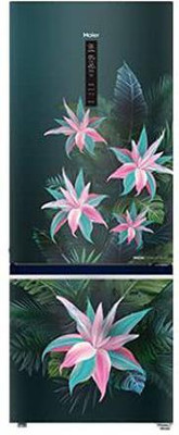 Haier 346 L Frost Free Triple Door Bottom Mount 3 Star Refrigerator(GreenTropical, HRB-3664BGT-E)