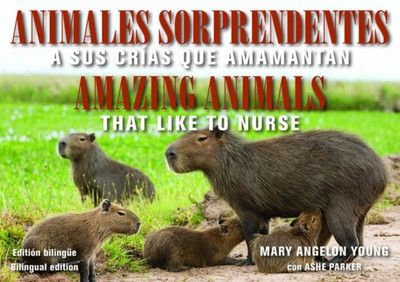 Animales Sorprendentes / Amazing Animals - English & Spanish Bilingual Edition(English, Paperback, Young Mary Angelon)
