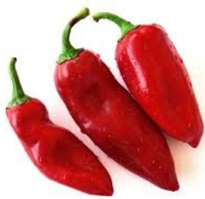 Wellspring CW18 CHILLI (MIRCH OR MIRCHI) SEED BEST QUALITY F1 HYBRID PRODUCER CHOICE SEED FOR YOUR HOME GARDENING. CHILLI IS FROM SOLANACEAE FAMILY AND ITS SCIENTIFIC NAME IS CAPSICUM FRUTESCENS. CHILLI IS A SPICE PLANT PACK OF 1 (15O SEEDS) Seed(150 per packet)
