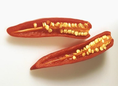 Wellspring CW32 CHILLI (MIRCH OR MIRCHI) SEED BEST QUALITY F1 HYBRID PRODUCER CHOICE SEED FOR YOUR HOME GARDENING. CHILLI IS FROM SOLANACEAE FAMILY AND ITS SCIENTIFIC NAME IS CAPSICUM FRUTESCENS. CHILLI IS A SPICE PLANT PACK OF 1 (15O SEEDS) Seed(150 per packet)