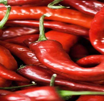 Wellspring CW39 CHILLI (MIRCH OR MIRCHI) SEED BEST QUALITY F1 HYBRID PRODUCER CHOICE SEED FOR YOUR HOME GARDENING. CHILLI IS FROM SOLANACEAE FAMILY AND ITS SCIENTIFIC NAME IS CAPSICUM FRUTESCENS. CHILLI IS A SPICE PLANT PACK OF 1 (15O SEEDS) Seed(150 per packet)