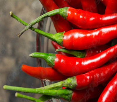 Wellspring CW35 CHILLI (MIRCH OR MIRCHI) SEED BEST QUALITY F1 HYBRID PRODUCER CHOICE SEED FOR YOUR HOME GARDENING. CHILLI IS FROM SOLANACEAE FAMILY AND ITS SCIENTIFIC NAME IS CAPSICUM FRUTESCENS. CHILLI IS A SPICE PLANT PACK OF 1 (15O SEEDS) Seed(150 per packet)