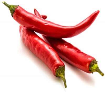 Wellspring CW8 CHILLI (MIRCH OR MIRCHI) SEED BEST QUALITY F1 HYBRID PRODUCER CHOICE SEED FOR YOUR HOME GARDENING. CHILLI IS FROM SOLANACEAE FAMILY AND ITS SCIENTIFIC NAME IS CAPSICUM FRUTESCENS. CHILLI IS A SPICE PLANT PACK OF 1 (15O SEEDS) Seed(150 per packet)