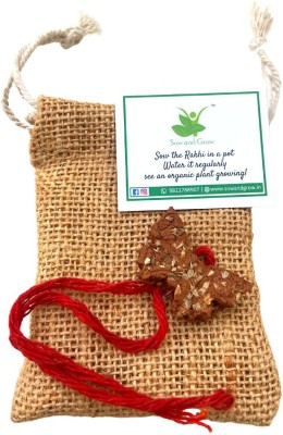 Sow and Grow Rakhi  Set(1 Butterfly Plantable Clay Rakhi with Seeds)
