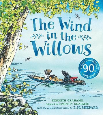 Wind in the Willows anniversary gift picture book(English, Paperback, Knapman Timothy)